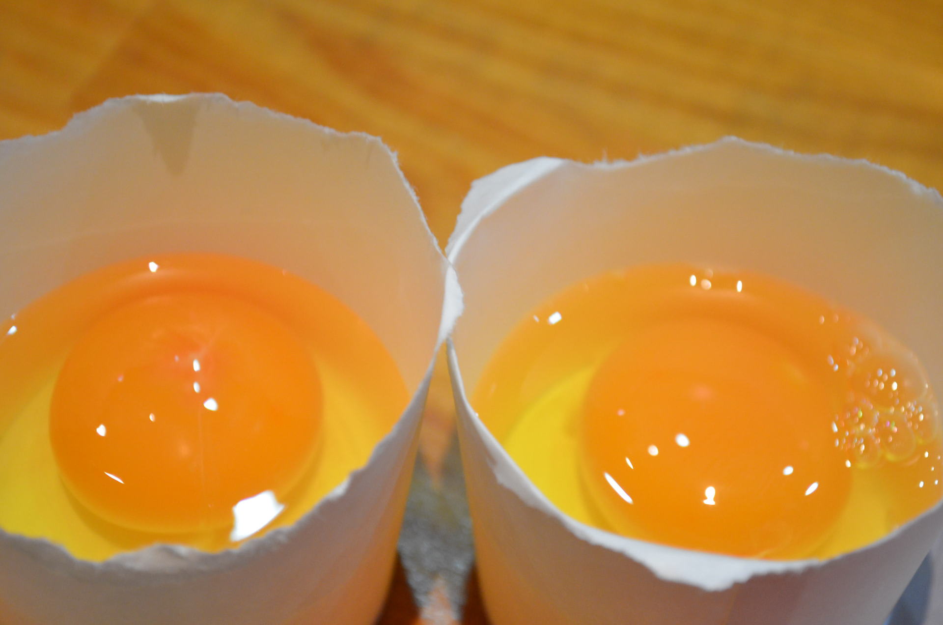 �����܂��̃t���[�ʐ^